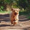 timothea_felix